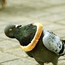 mcbread