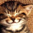 catluv2708