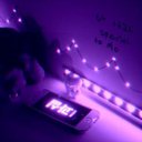 purplebook