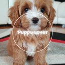Puppy_Love