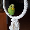 Katharine_