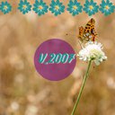 V_2007