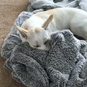 luna_cute