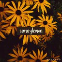 sunnylemon