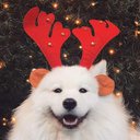 nielubiecb
