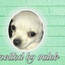 valeb