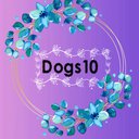 dogs10