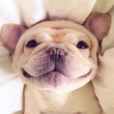 cute_fish