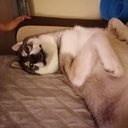 lacey_2580
