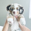 riley-jane