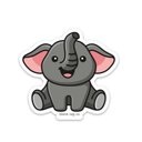 elephant10