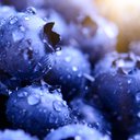 berryblue