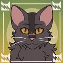 Cat-lady