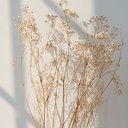 lea0211
