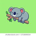 koalawoman