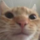 Frenchifry
