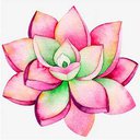 Addiegrl29
