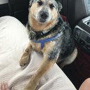 addison_12