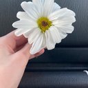 _Caleigh_
