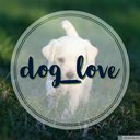 dog_love