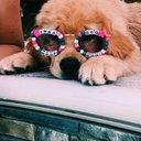 flurxses_4