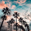 timmy_arts