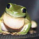 froggy5611