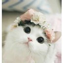 angela_123