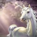 Rainbow_14