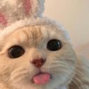 leenbean