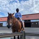 HORSE-GAL