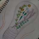 C_rose_276