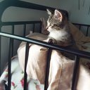 smolbean9