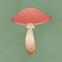 Mushrooms