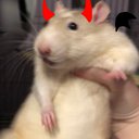 MimiPlayz