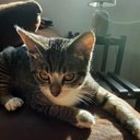 smolbean9