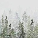 hgfvbhgvb