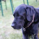 ronja_2007