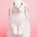 BunnyLvr13