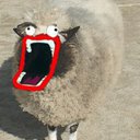 SheepPeep