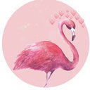 Flamingo12
