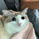 miahrpo053