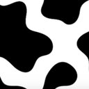 CowLover14