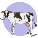 cowmoo