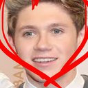 aniallator