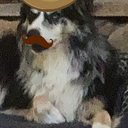 natisswag