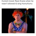 HSM_fan