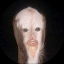 cbs_bitch