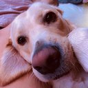 bella_2109