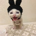 tyl3r_npc